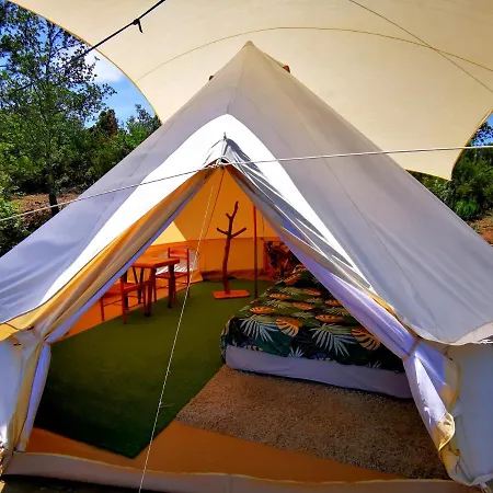 Grande Tente Tipi Avec Magnifique Vue